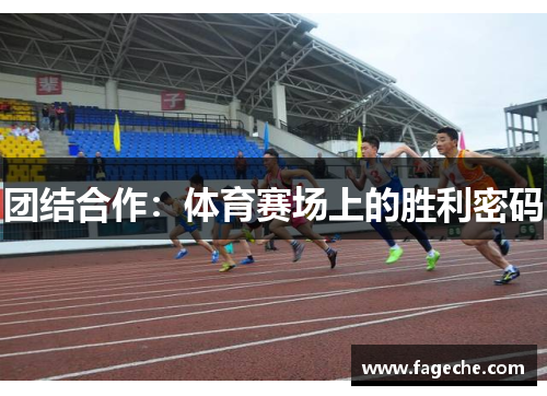 团结合作：体育赛场上的胜利密码
